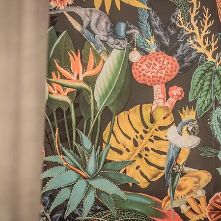 Artemis Midas Project